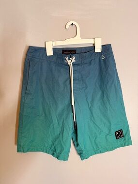 American Eagle Outfitters Teal to Aqua Ombre Swim Shorts